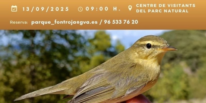 Ruta: Aves en Migración en la Font Roja «Anillando en Familia»