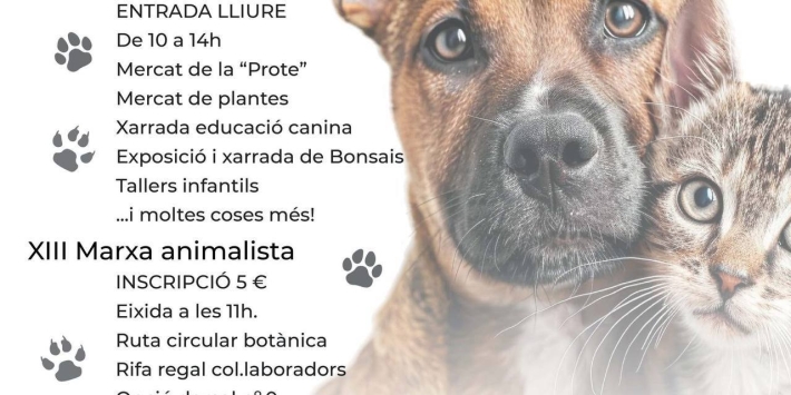 Jornada de portes obertes: “XIII Marxa animalista”