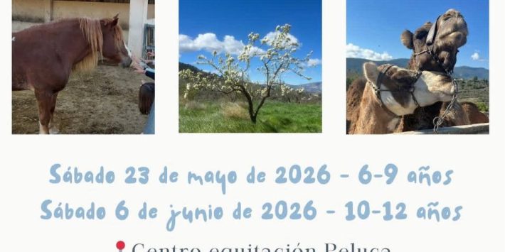 «Taller d’equitació»