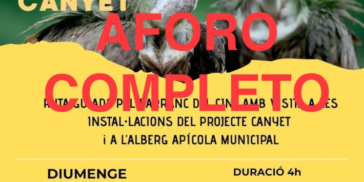 Ruta: «Els Voltors del Projecte Canyet»