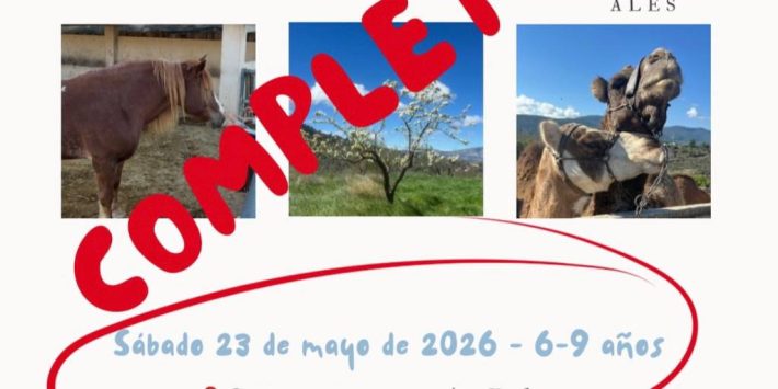 «Taller de equitación»