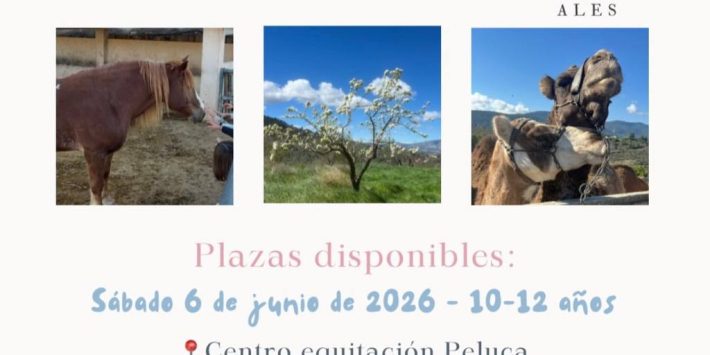 «Taller d’equitació»